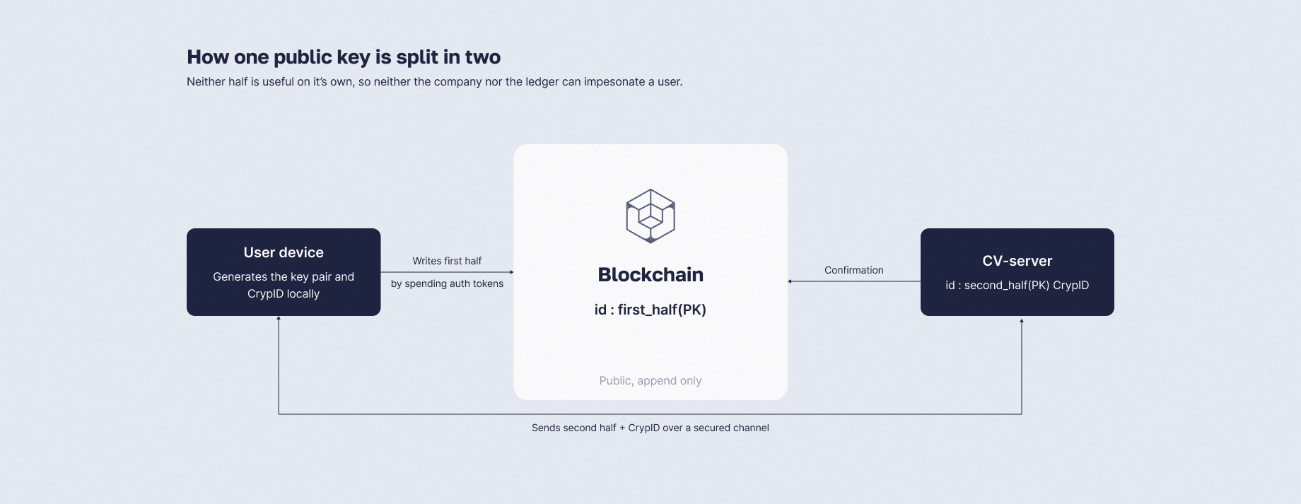 One public key split between a blockchain record and the Crypviser server, with neither half usable on its own